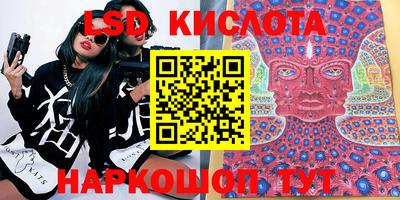 шишки Бузулук