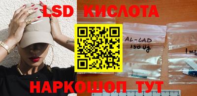 шишки Бузулук
