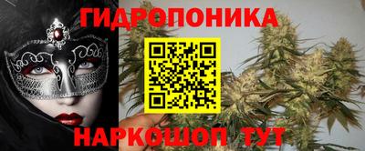 шишки Бузулук