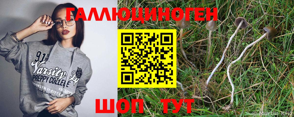 Псилоцибиновые грибы Magic Shrooms  Вход с VPN  Псилоцибиновые грибы Magic Shrooms  купить наркотики сайты  Соликамск 